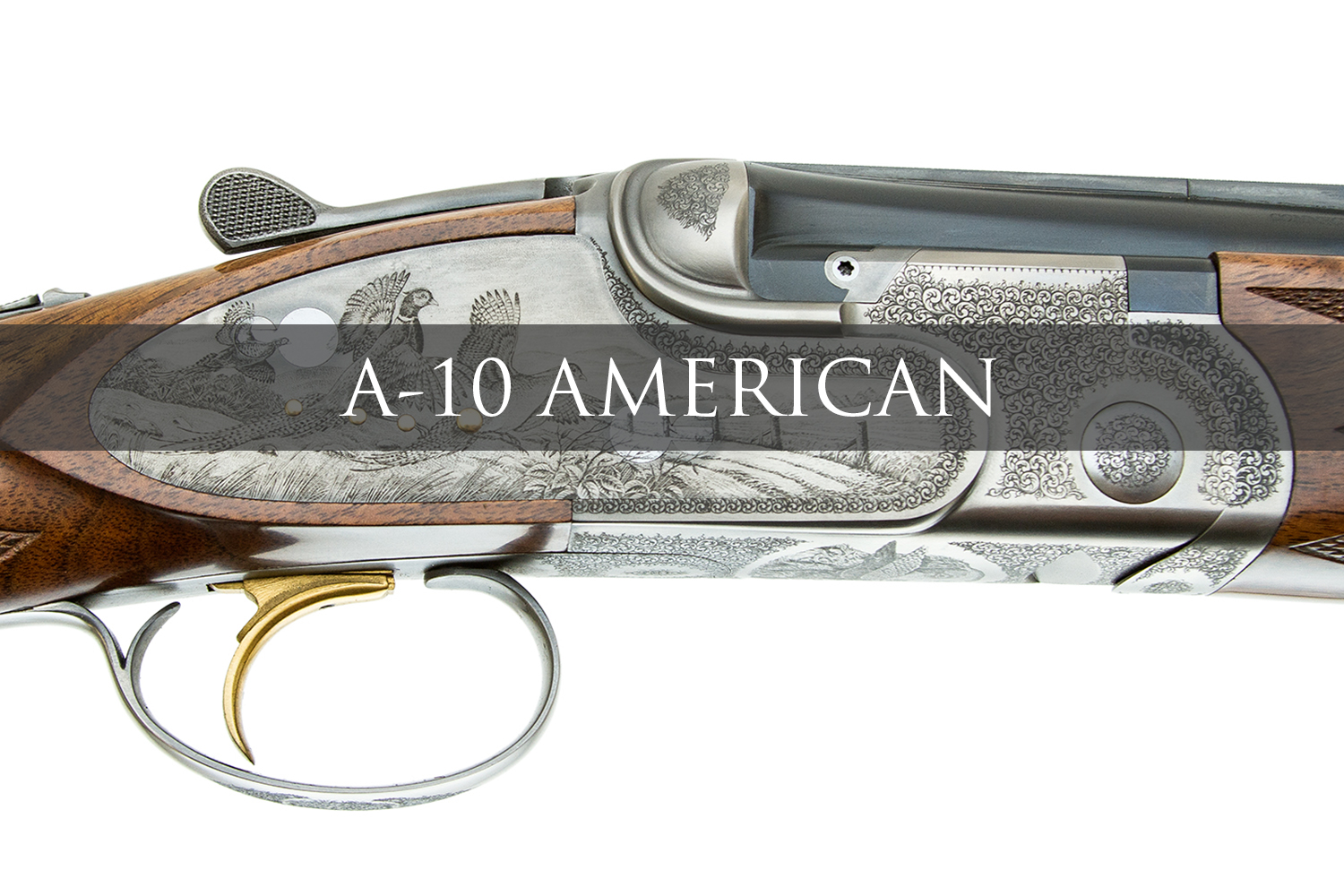A10 AMERICAN BANNER.jpg