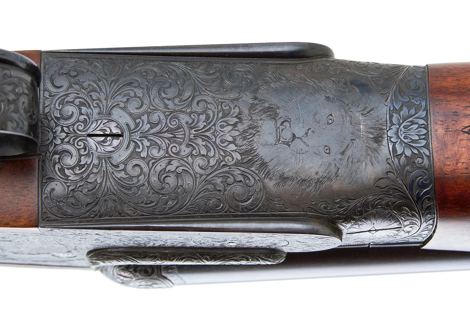 16813-10.jpg