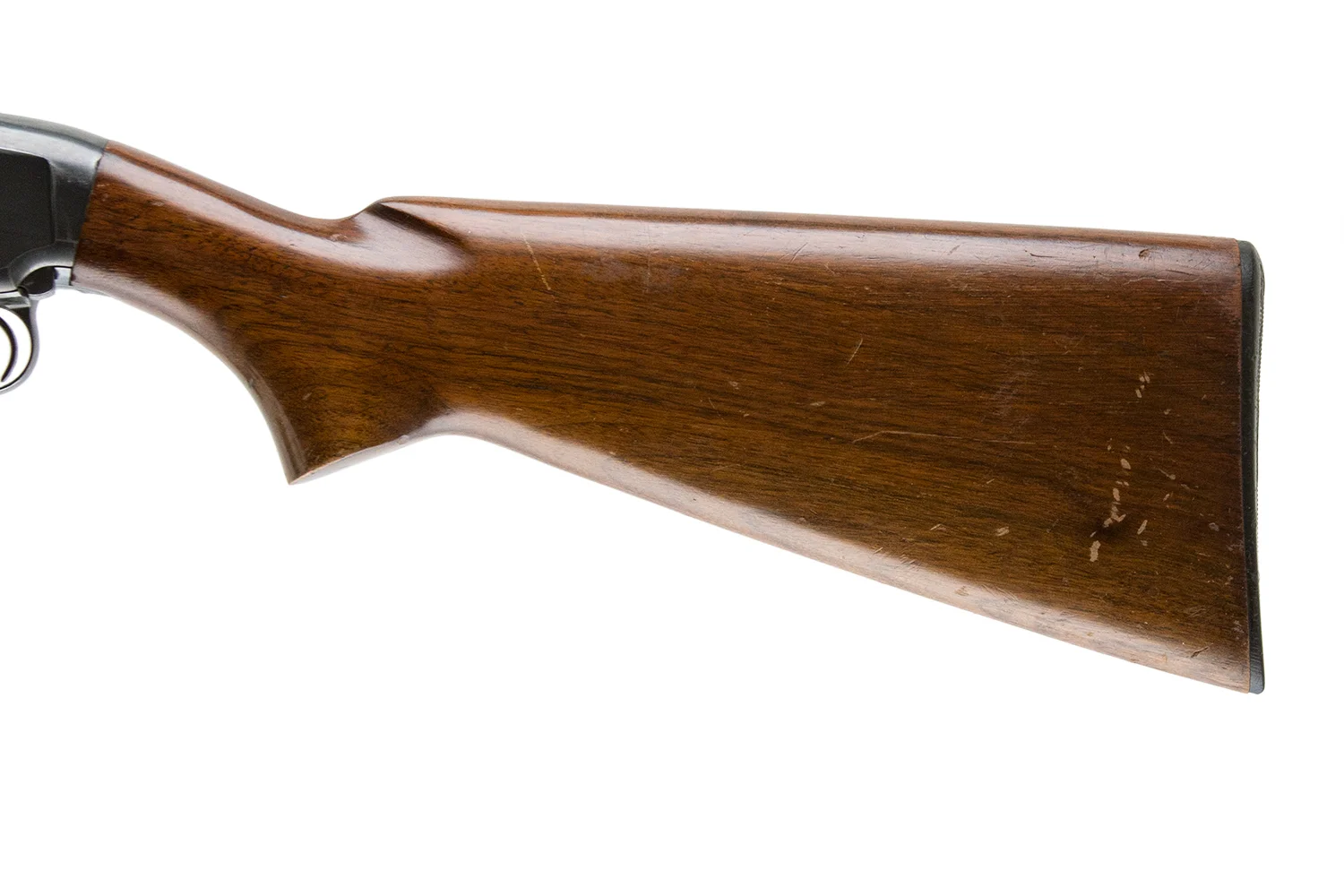 19565-10.jpg