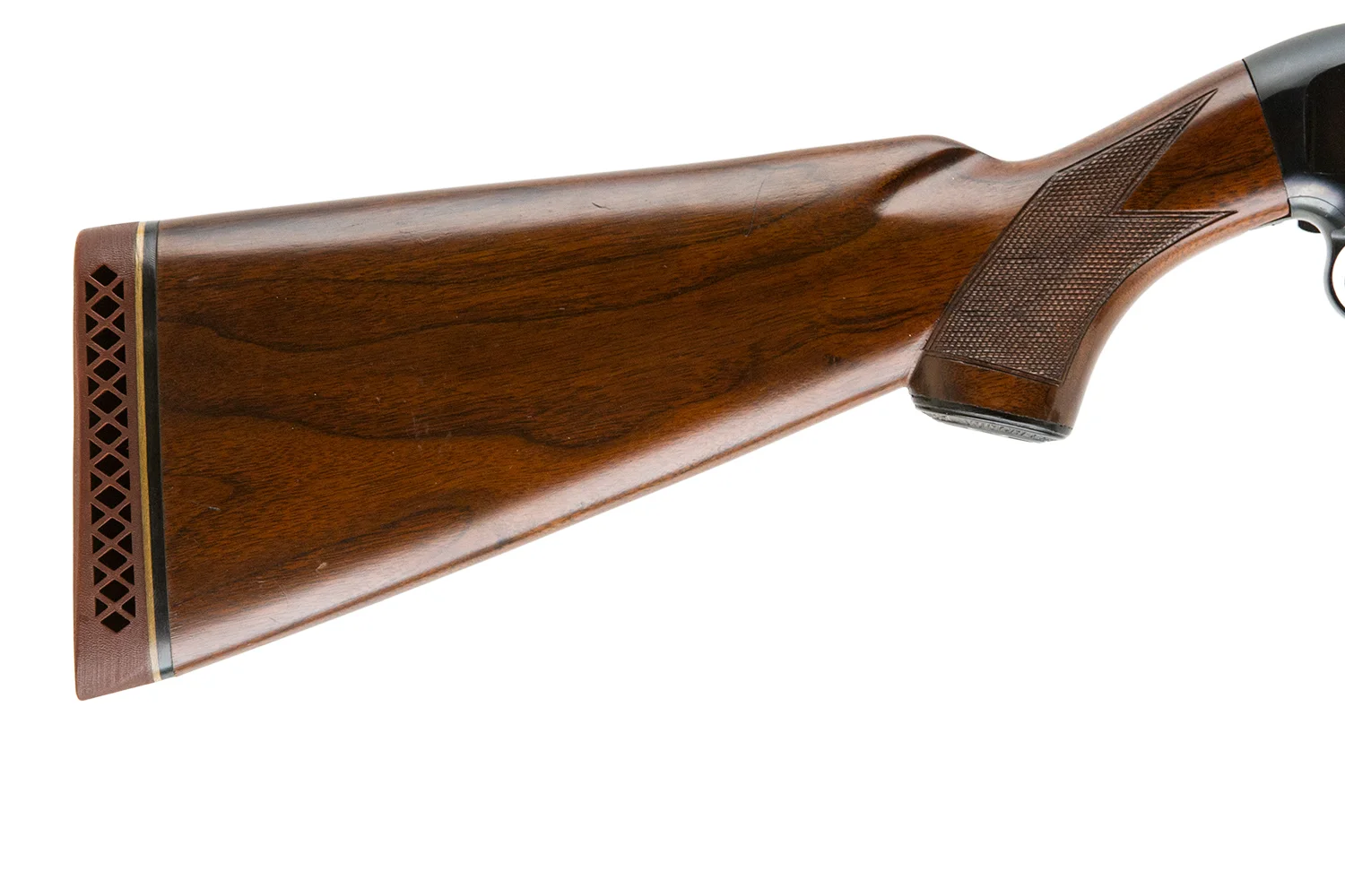 19894-10.jpg