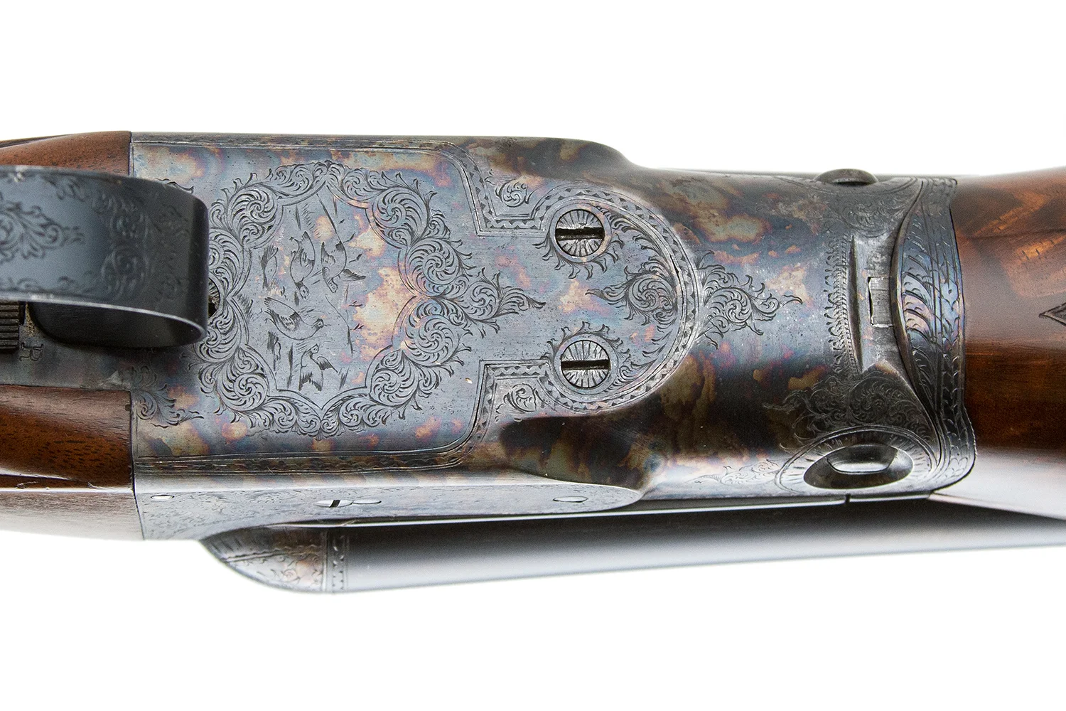 19906-10.jpg