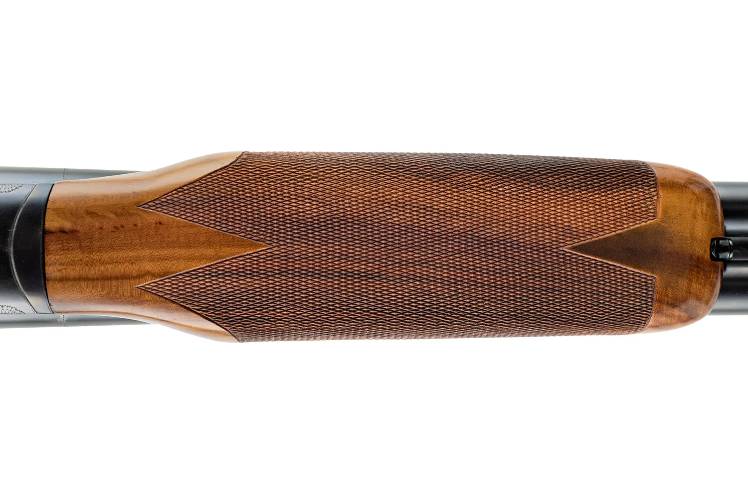 21889_6.JPG