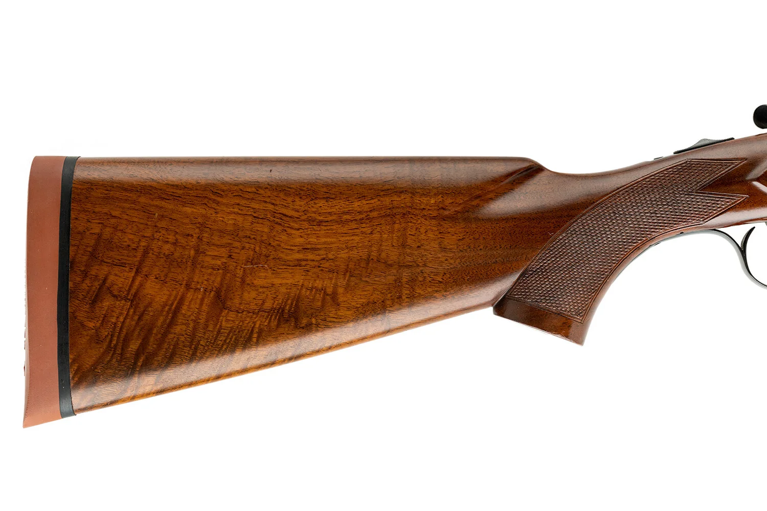 sb231_14.JPG