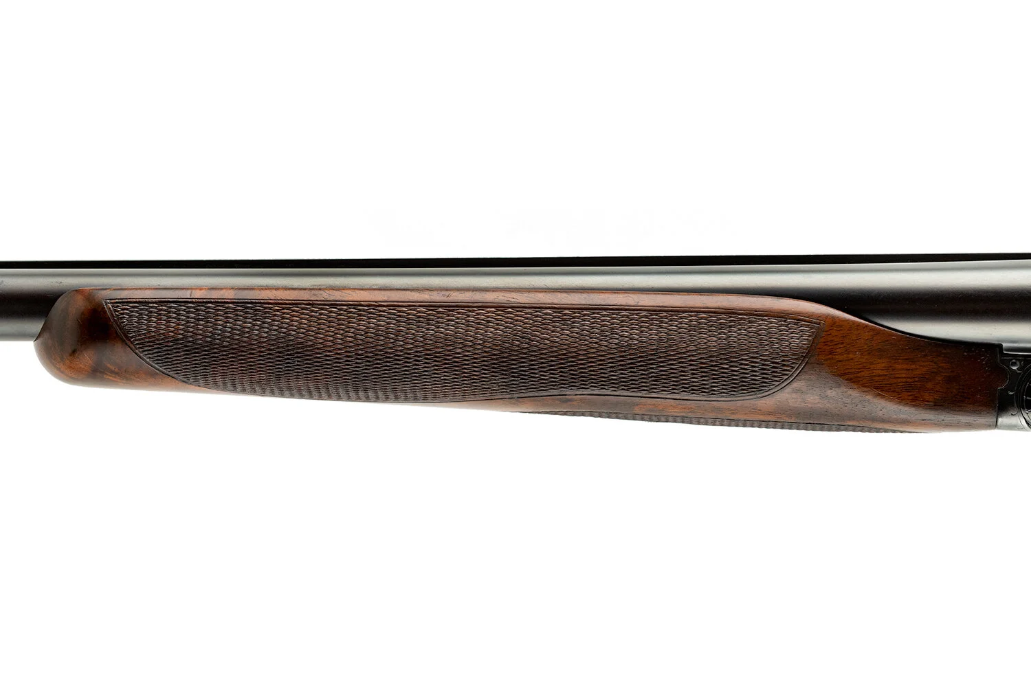 sb241_7.JPG