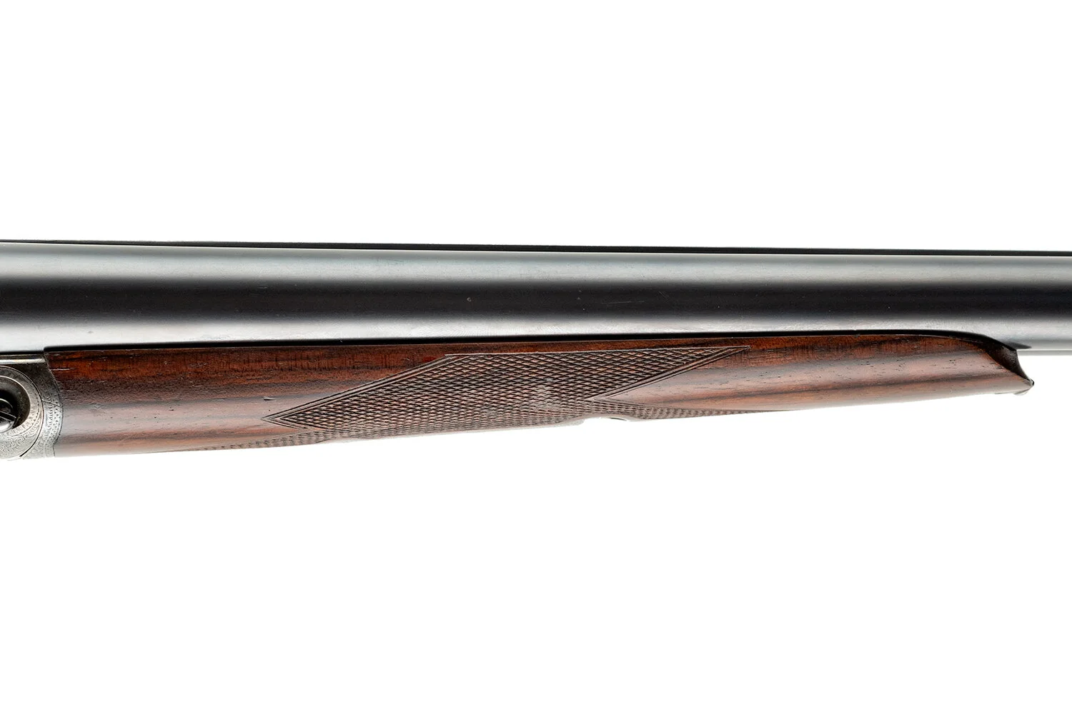 ANT1171_5.JPG