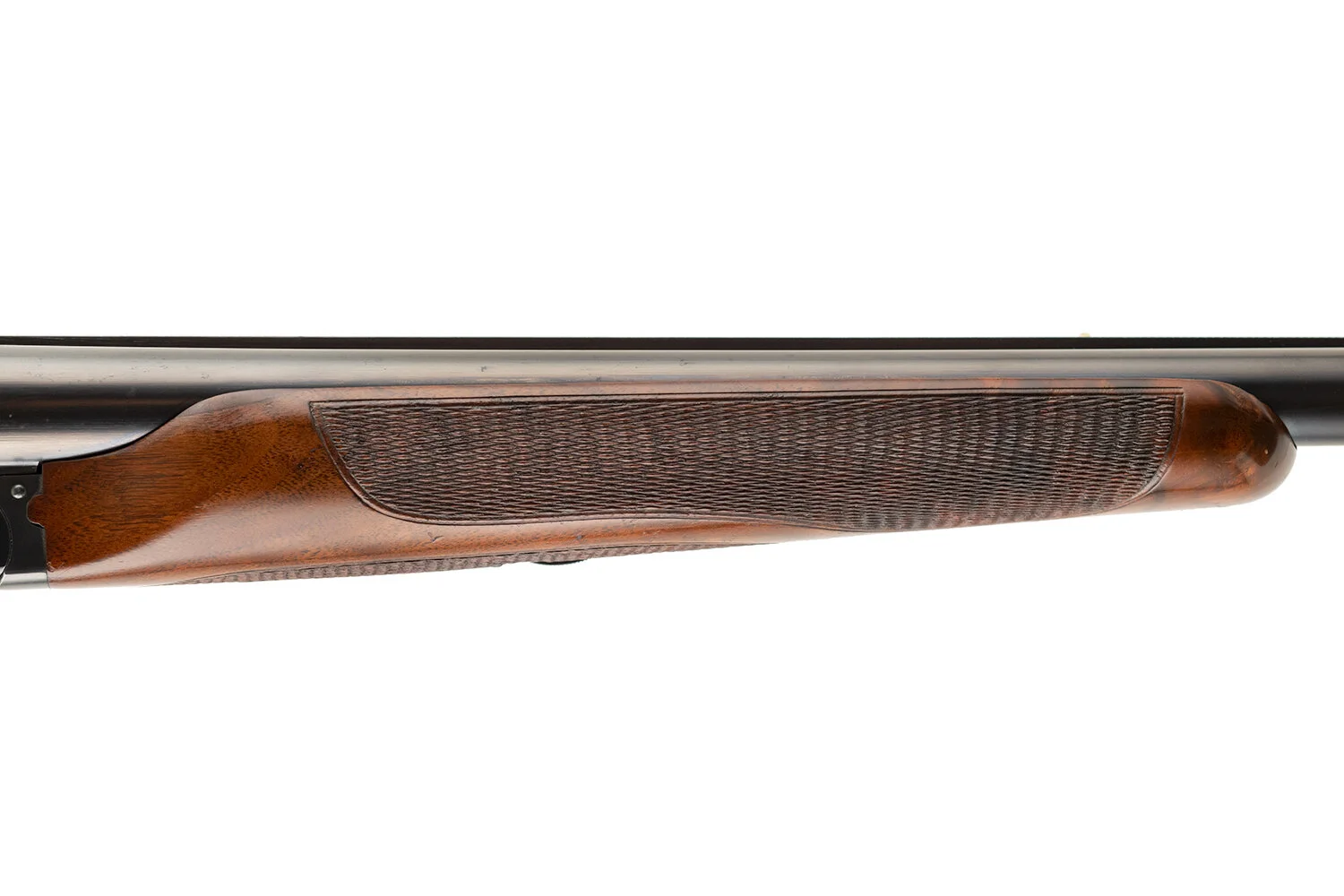 sb303_5.JPG