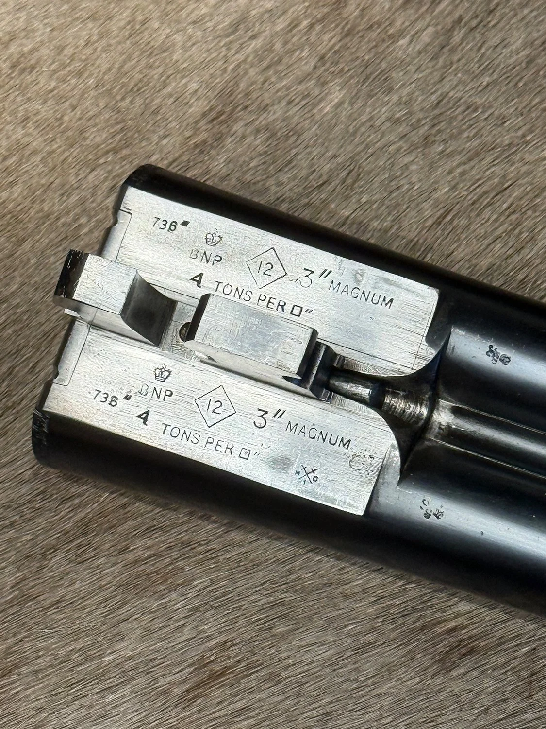23981_18.jpg