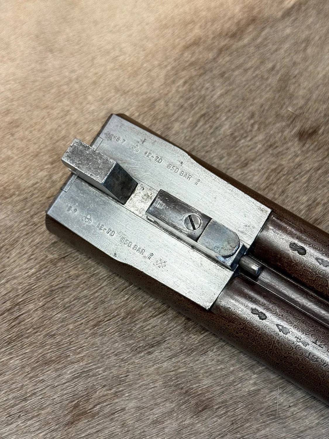 ANT1215_18.jpg
