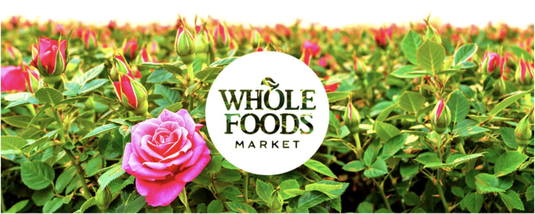 whole foods - summer.jpg
