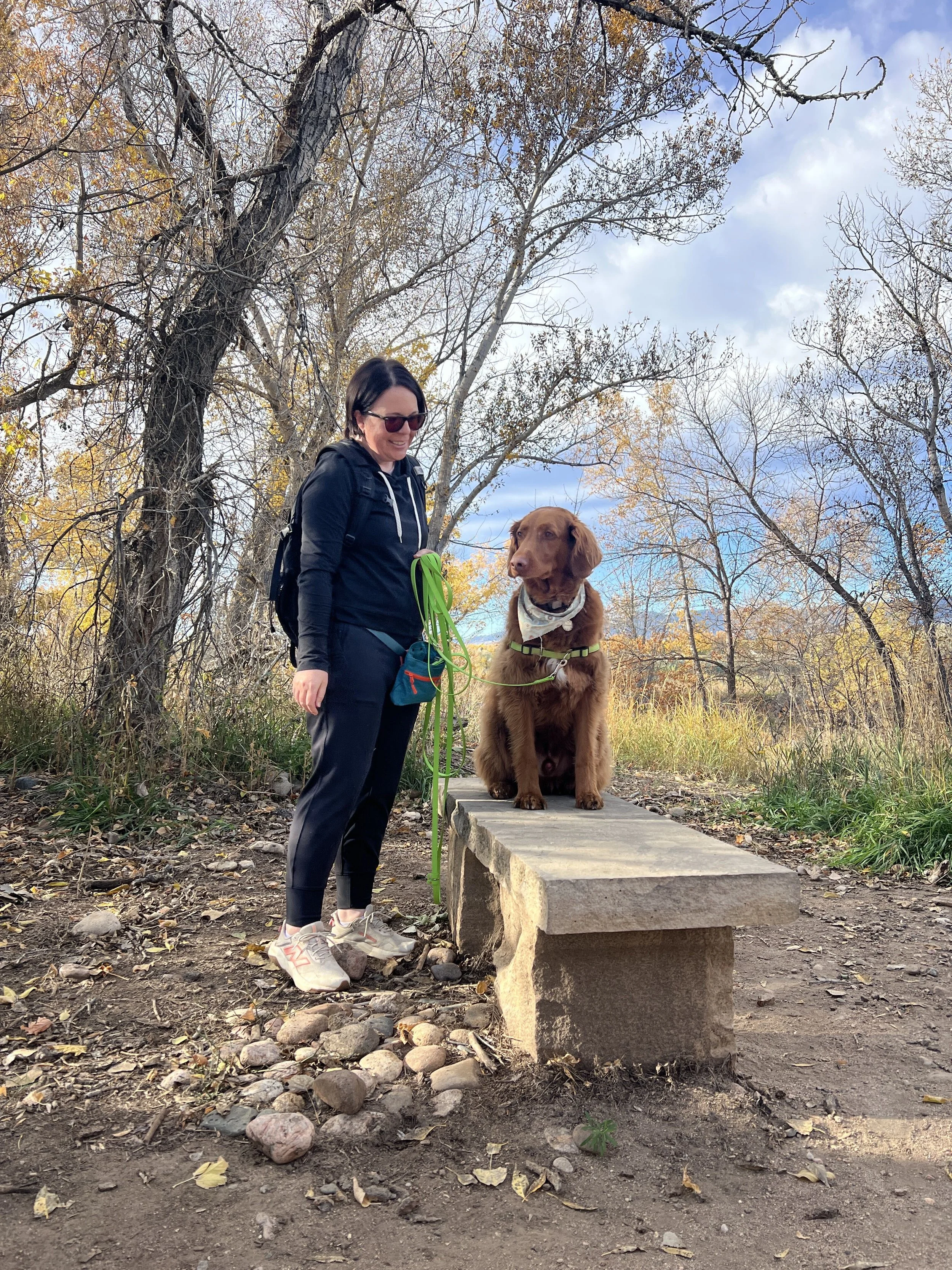 training trek with dog on a bench Fort Collins Colorado summit dog training