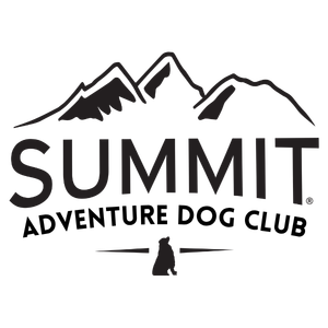 adventure dog club logo summit dog training