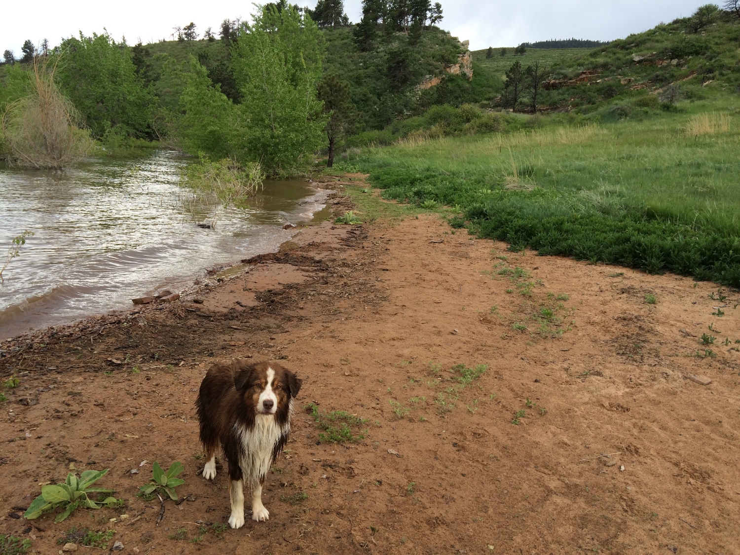 Roo's favorite part of any adventure is the "getting as filthy as possible" part. 