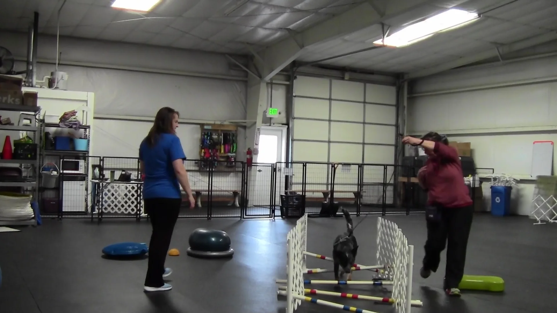 April is Canine Fitness Month!