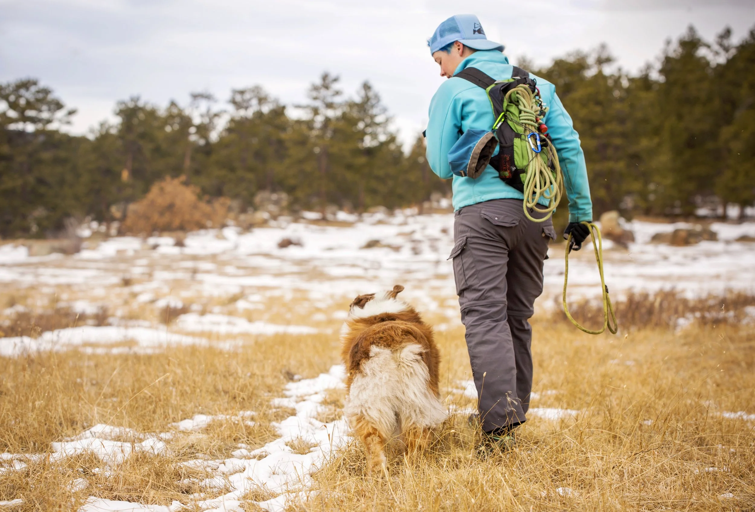 How Much Time is Included in an Hour-Long Dog Training Consult?