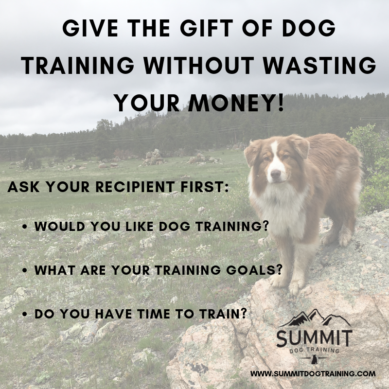Gift Certificate - Dog's Best Friend Training