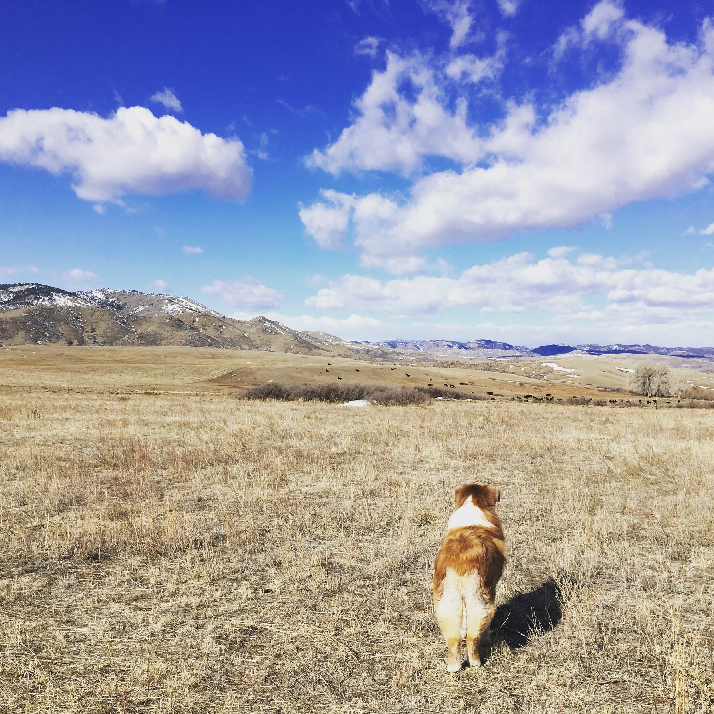 Puzzle Me, Please - Part 3