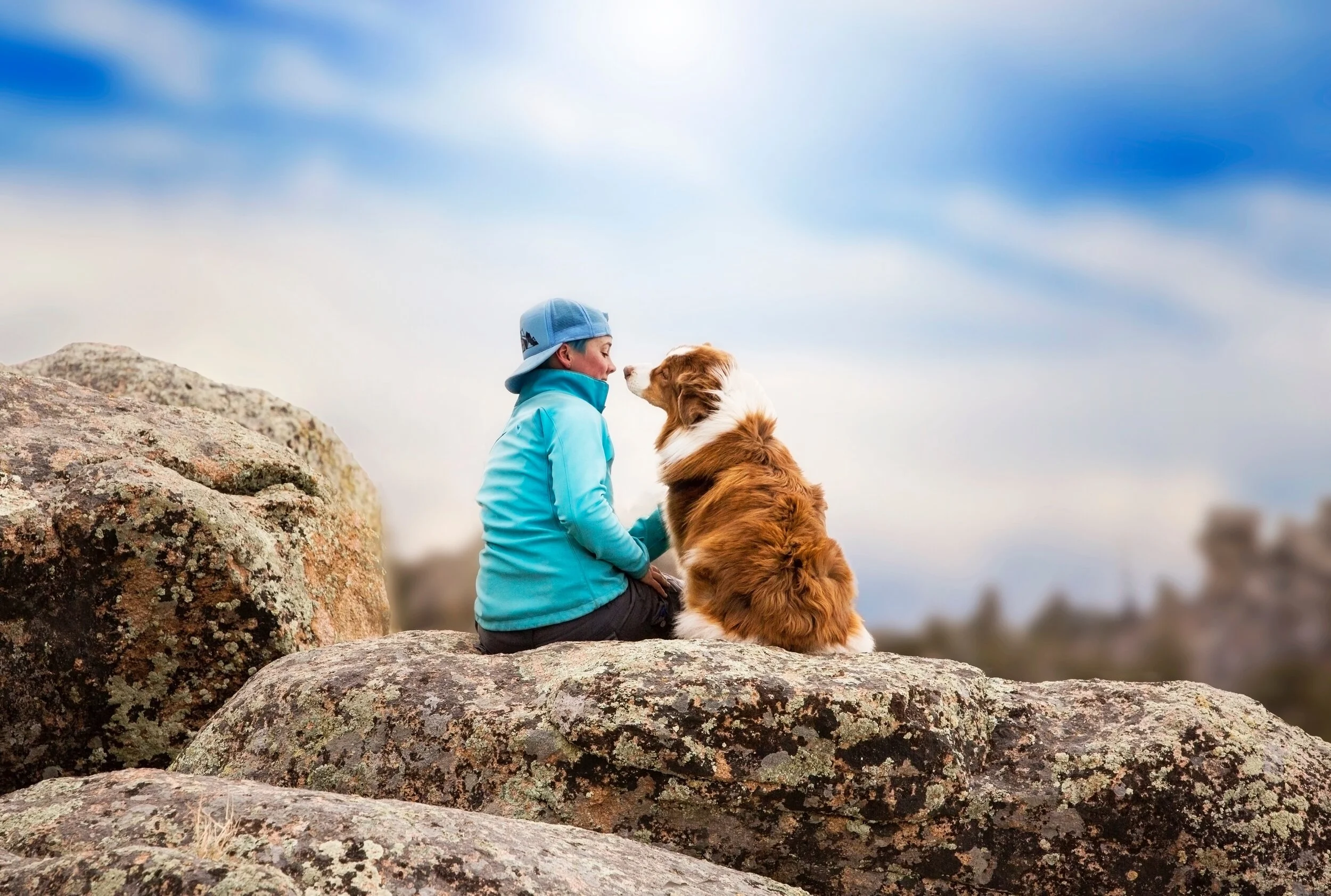 human-dog bond