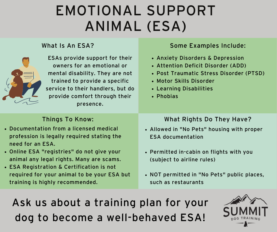 All About Support Dogs - Emotional Support, Service Animals, & Therapy Dogs  — Summit Dog Training