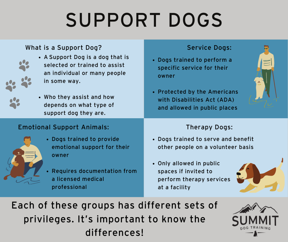 what is the difference between a therapy dog and an emotional support dog