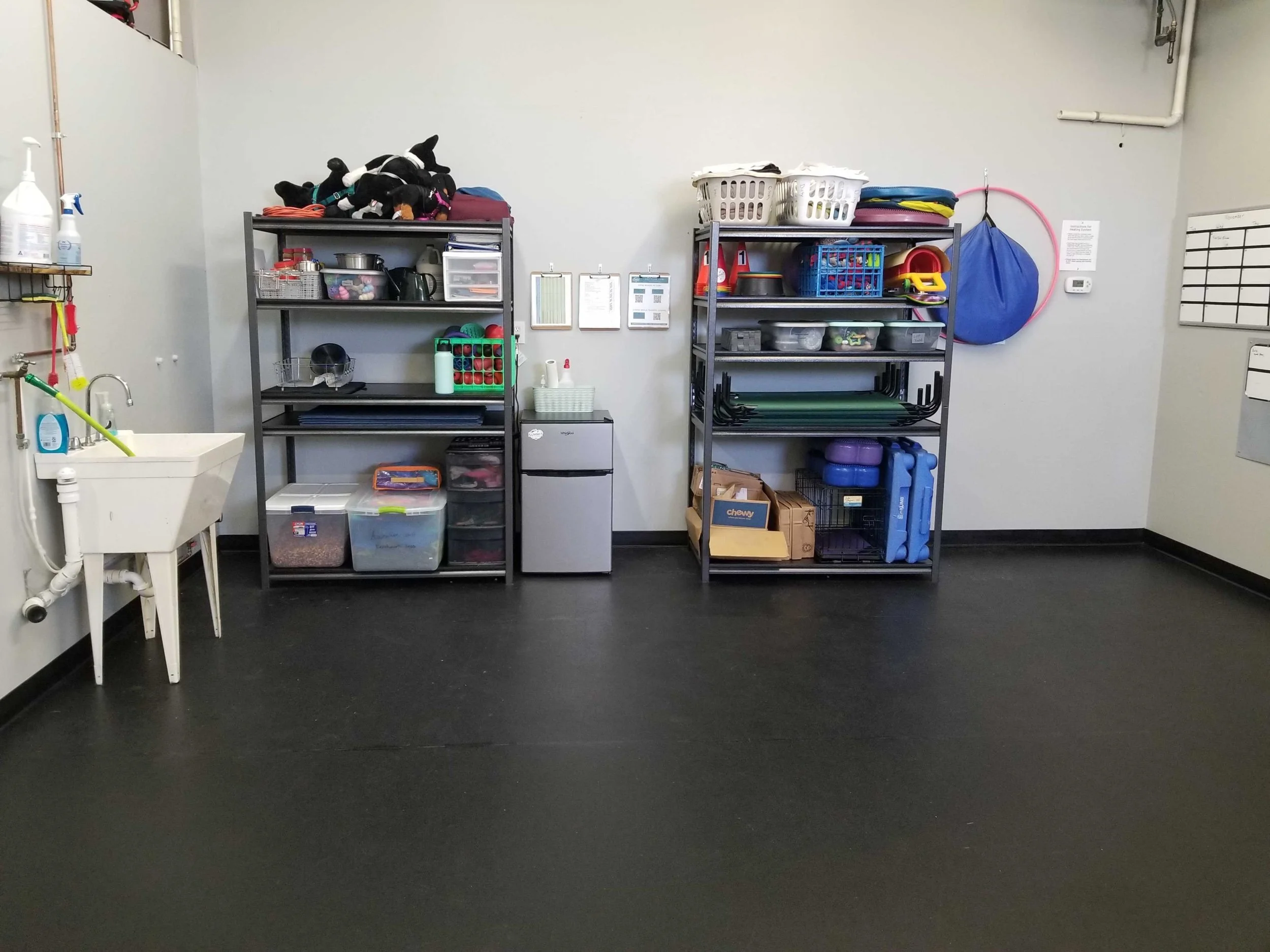 Our Facility Cleaning Routines for Puppy Wellness