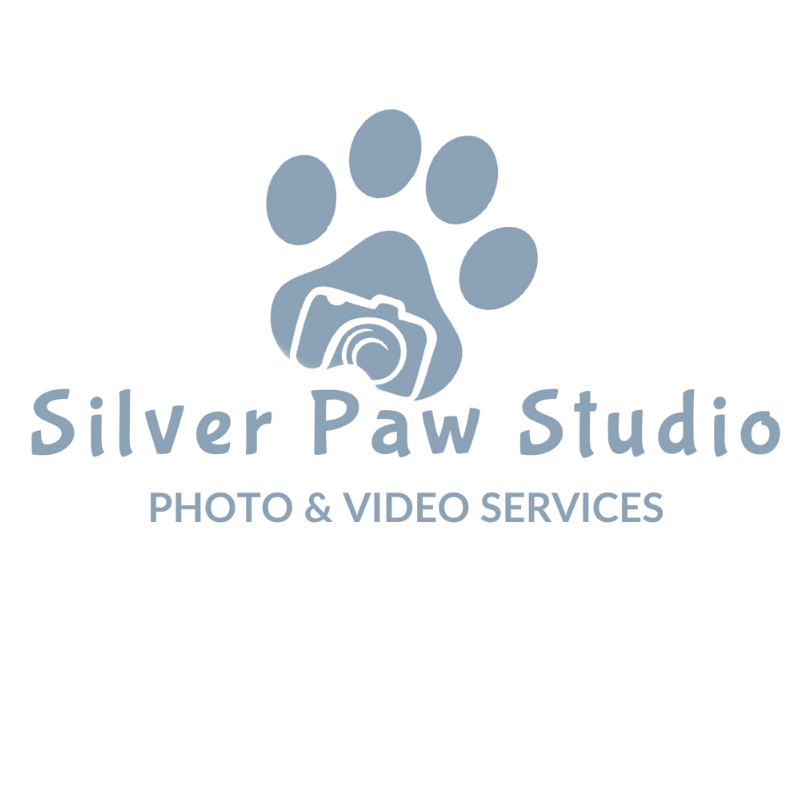 sps+logo+dark+blue.png