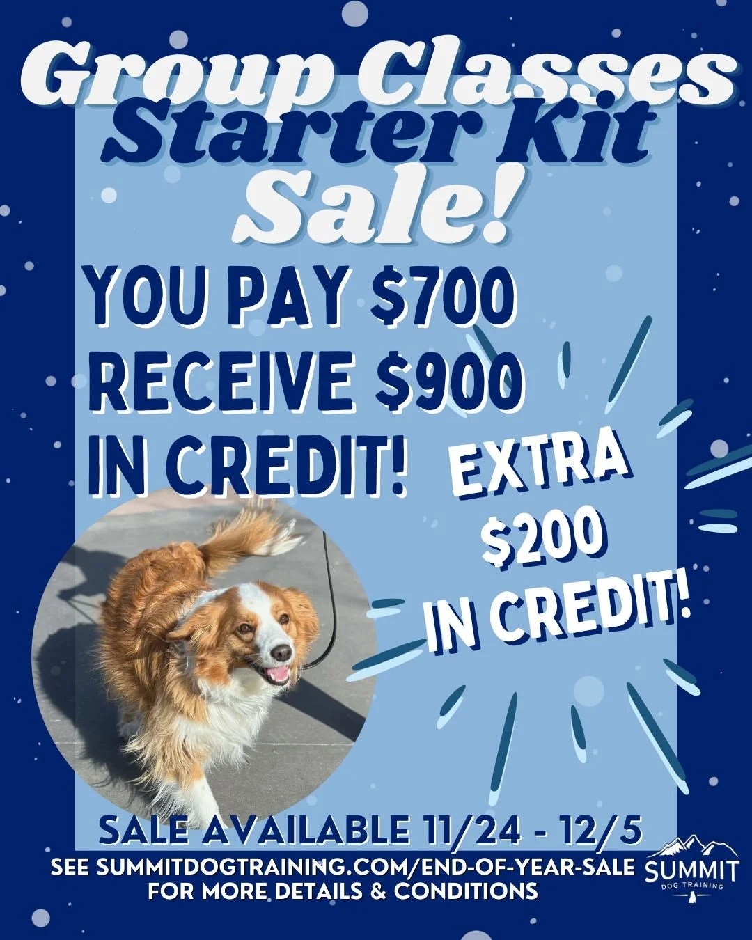 💰 Our biggest sale of the year is here! 

🐾 Get your dog off to the best start in life by purchasing the Summit Dog Training&rsquo;s Group Class Starter Kit! The perfect adventure dog takes more than just one class to accomplish. There is so much m