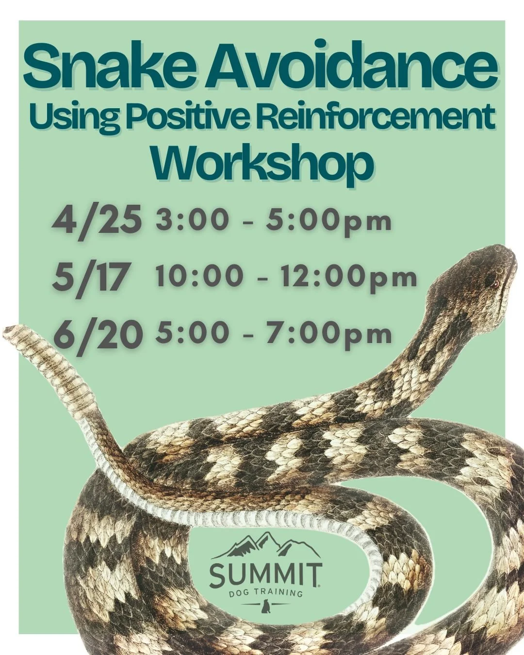 🐍 Snake Avoidance Workshops are back! Learn from Amy Creaven in Summit Dog Training's Snake Avoidance workshops, all about teaching our dogs Rattlesnake Avoidance using positive reinforcement! 

🐍 Your learning starts with an online course accessib