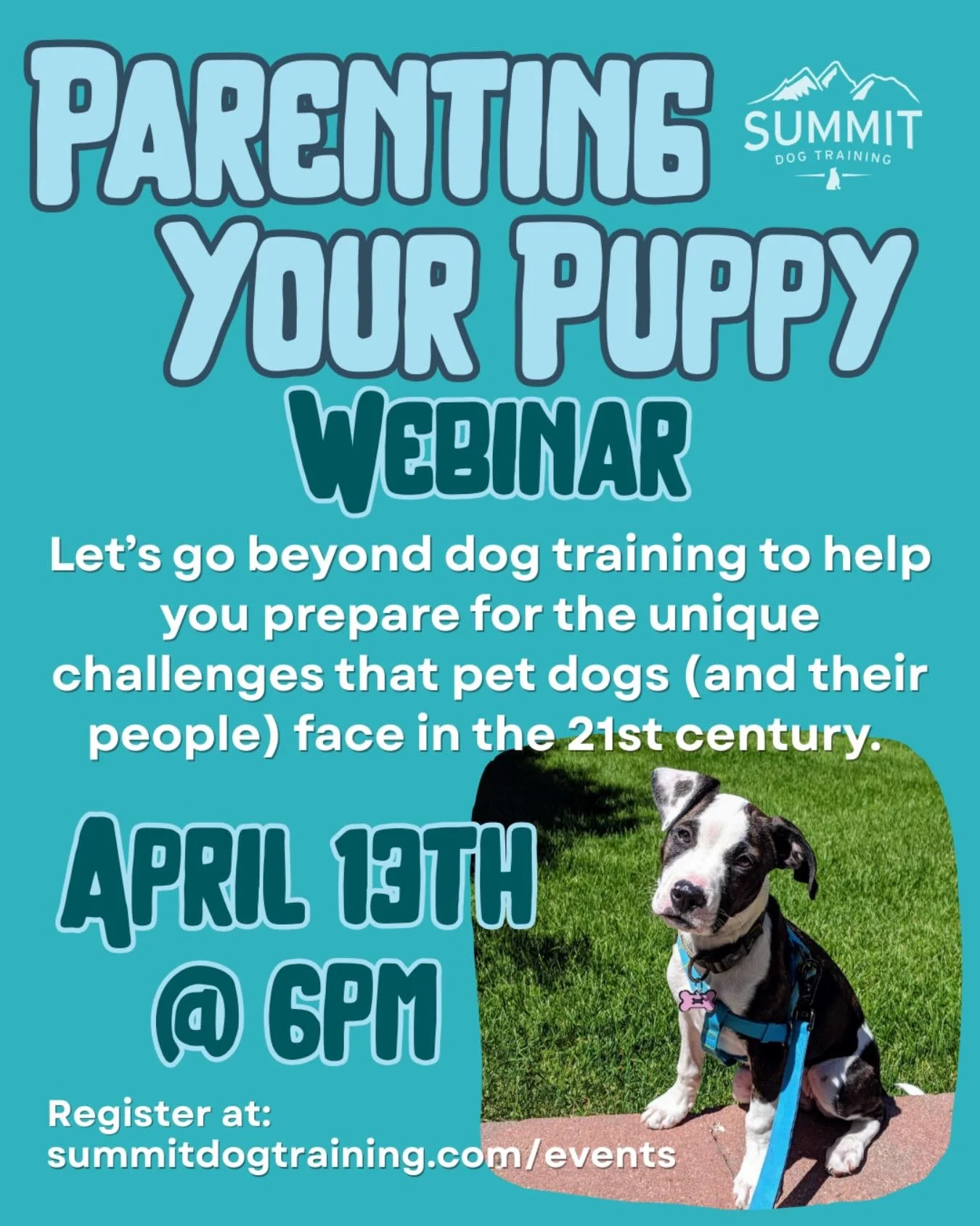 🥰 Bringing home a puppy or an adult dog new to your home? You won&rsquo;t want to miss Summit Trainer Shay&rsquo;s Parenting Your Puppy (or dog!) Webinar!

🥰 If you&rsquo;ve just brought home a new puppy or adult dog, or maybe even your first EVER 