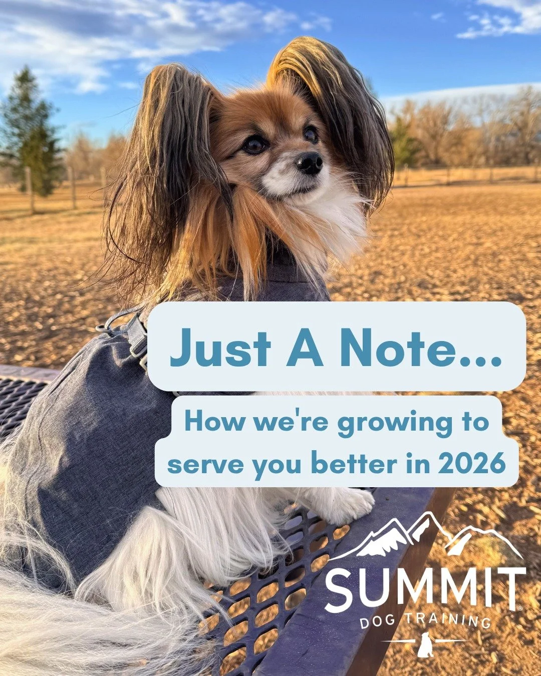 At Summit Dog Training, our biggest asset is the incredible team of people who show up every day to take care of you and your pups! 

💙 To make sure we&rsquo;re taking care of them in return, we are adjusting our rates starting May 1st, 2026. This c