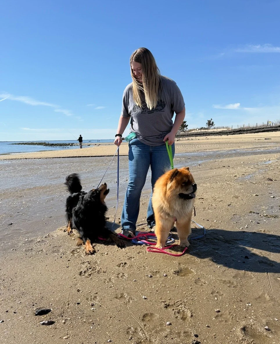 👋 Welcome Ash as our newest Associate Trainer at Summit Dog Training! (Pssst, read to the end for a sale! 😉)

🩵 Ash grew up in Lincoln, Nebraska, in a house full of animals of all shapes and sizes. In 2017, she graduated as a Karen Pryor Academy C