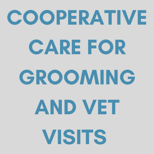 Advanced Dog Classes Levels 24 Summit Dog Training