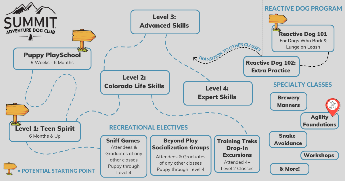 Dog Training Group Class trail map with marker on Agility Foundations under Specialty Classes
