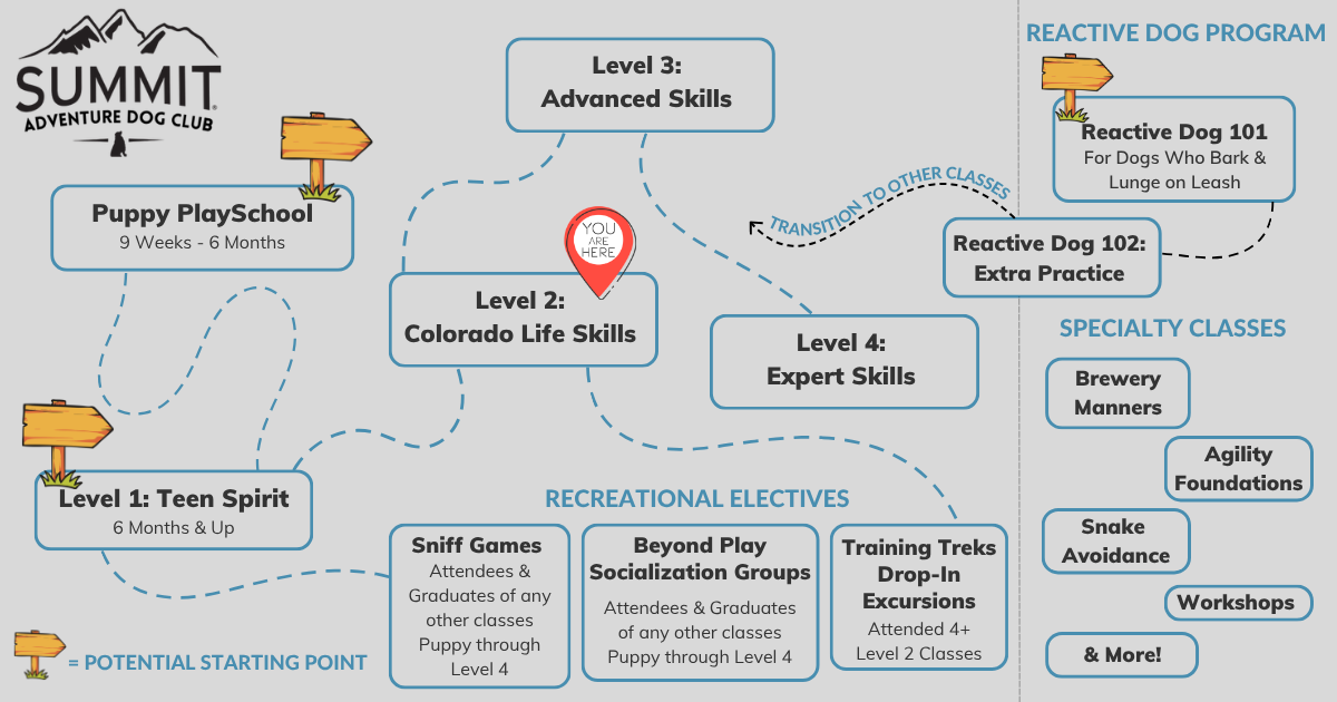Guide of Adventure Dog Club group training class levels with a marker on Level 2 Colorado Life Skills