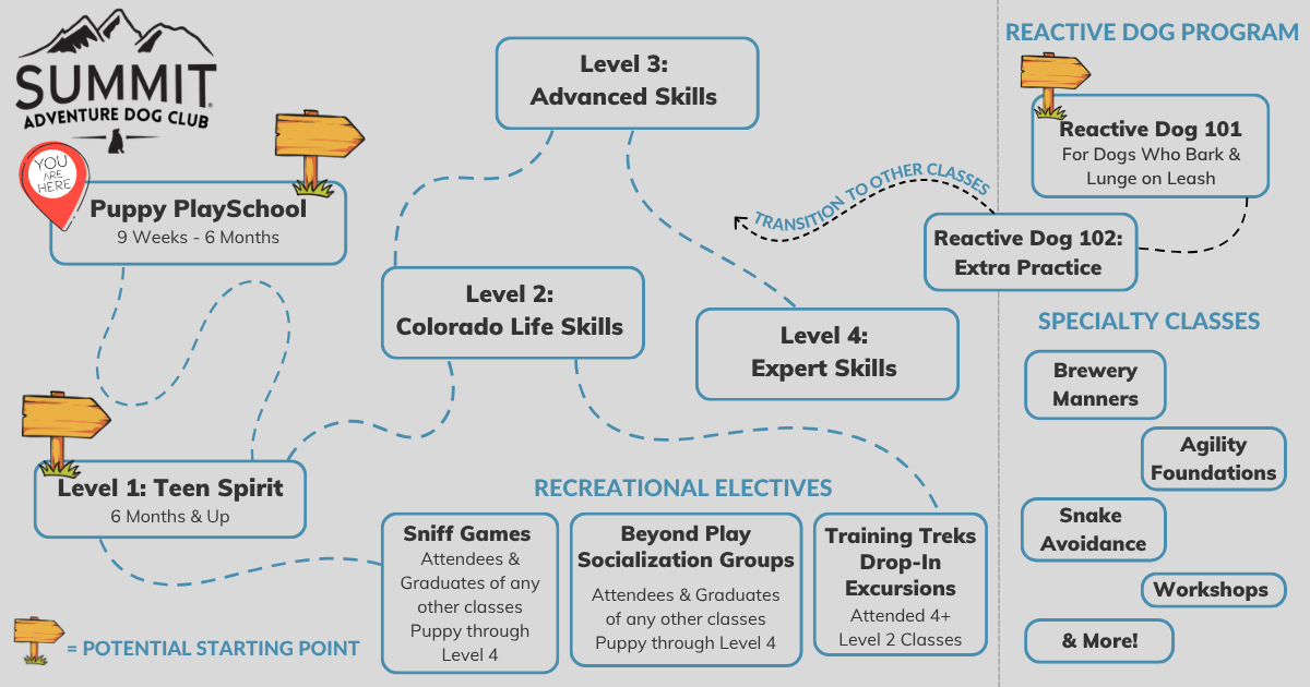 Guide of Adventure Dog Club group training class levels with a marker on puppy playschool