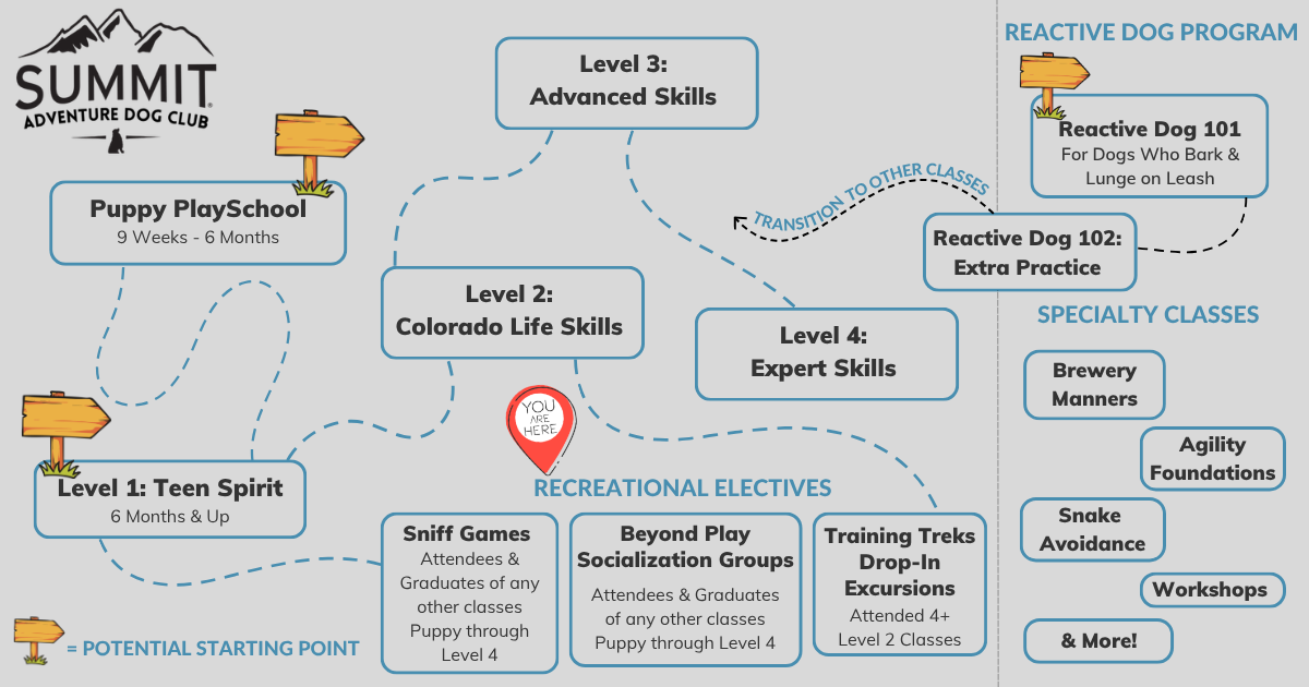 Guide of Adventure Dog Club group training class levels with a marker on Recreational electives