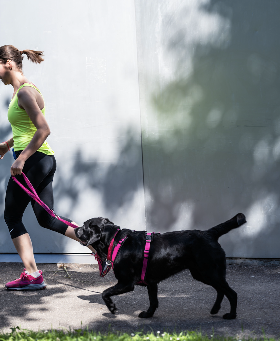 Screenshot 2025-03-24 at 6.56.26 PM.png