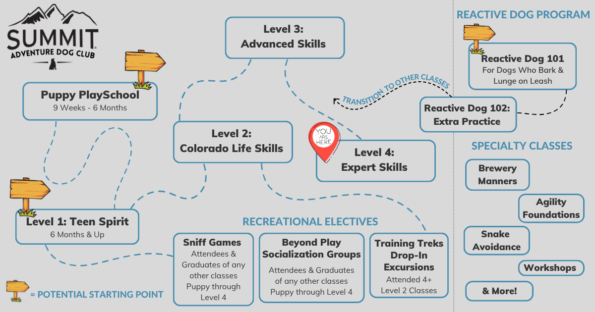 Guide of Adventure Dog Club group training class levels with a marker on Level 4: Expert Skills