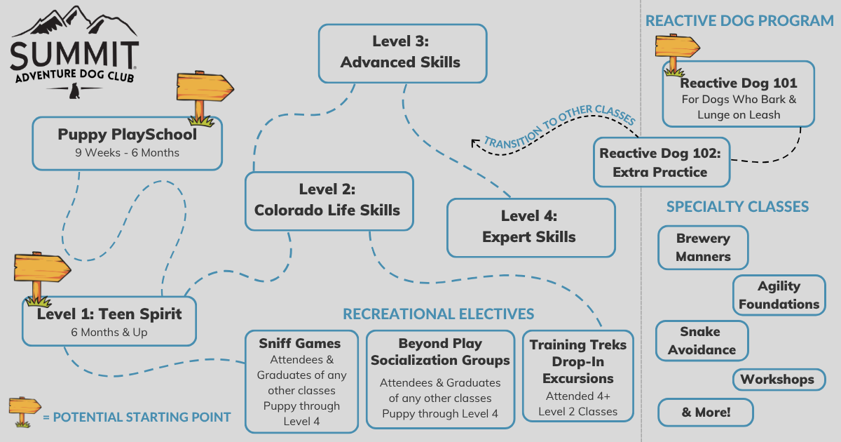 overview guide of Adventure Dog Club group training class levels