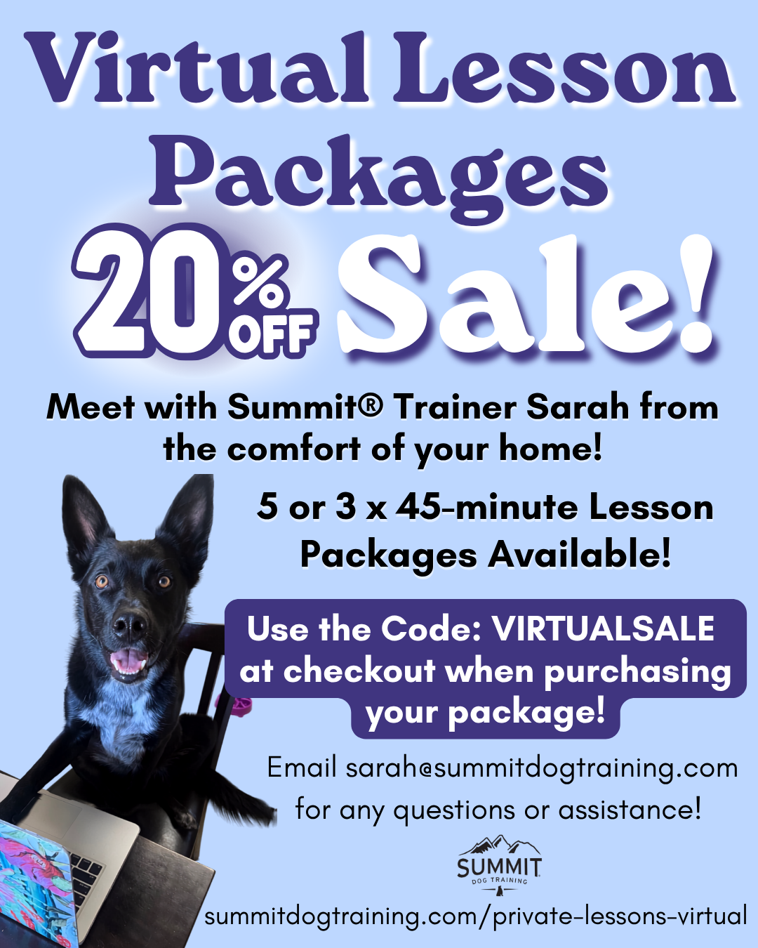 online virtual private lessons sale for dog training