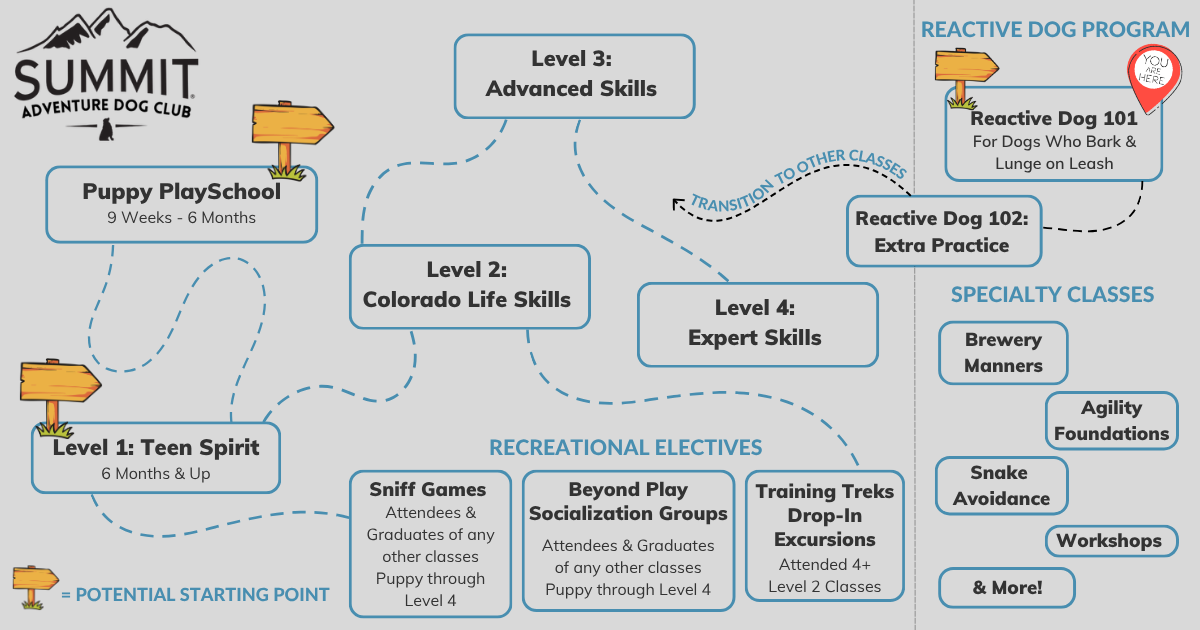 Guide of Adventure Dog Club group training class levels with a marker on Reactive Dog 101
