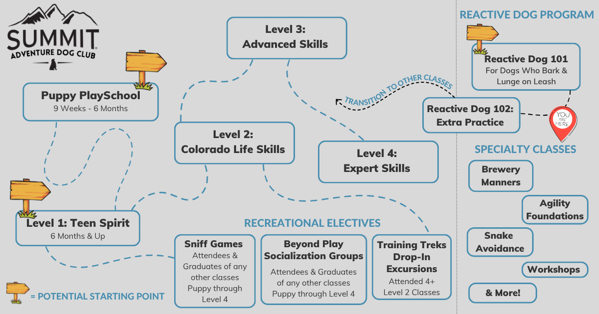 Fort Collins dog school summit dog training adventure dog club trail map