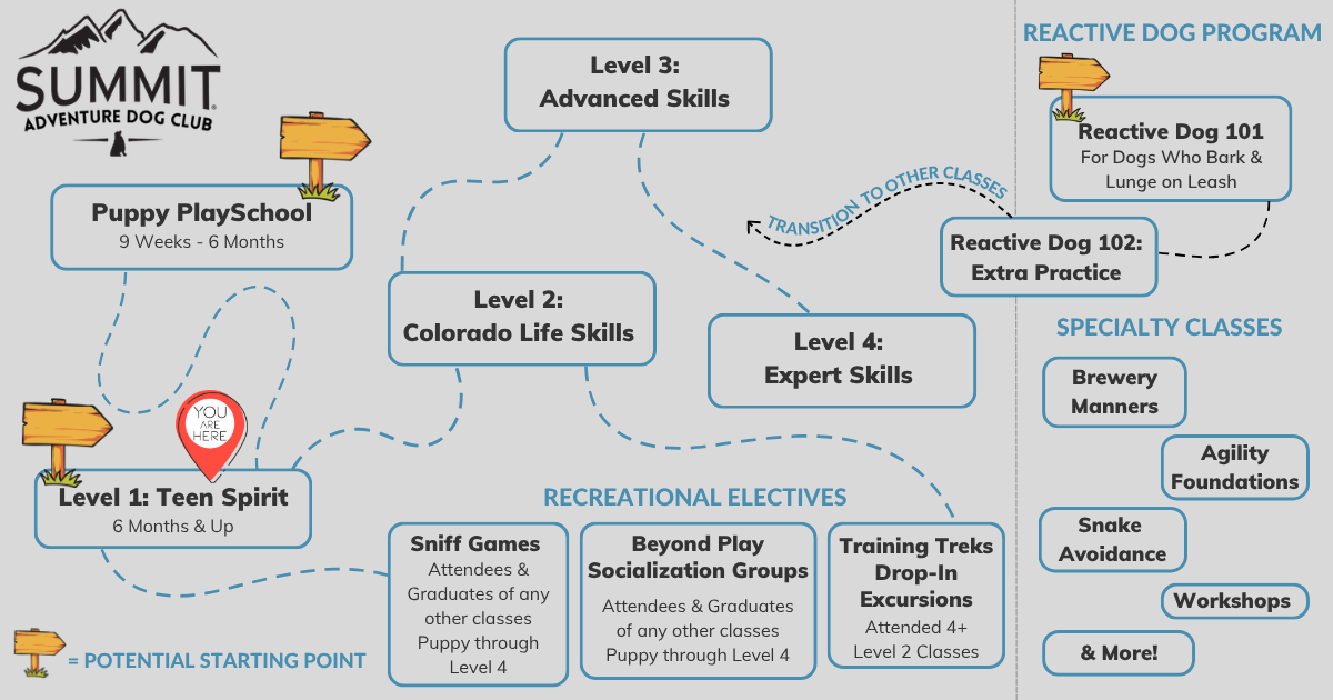 Guide of Adventure Dog Club group training class levels with a marker on Level 1 "Teen Spirit"
