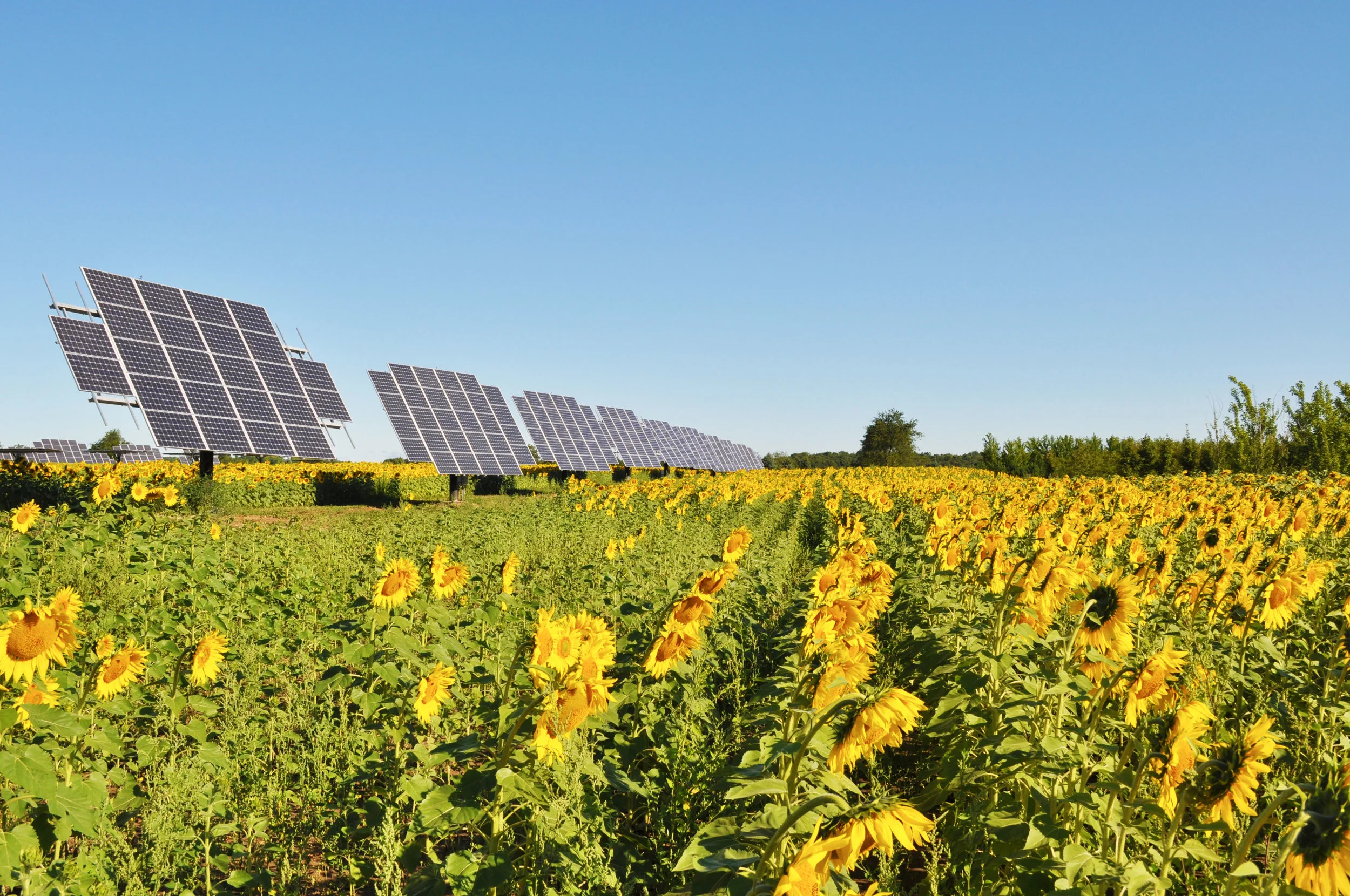 Services — Convergence Energy