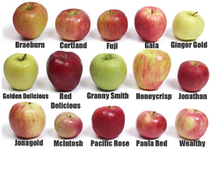 <strong>APPLES</strong>