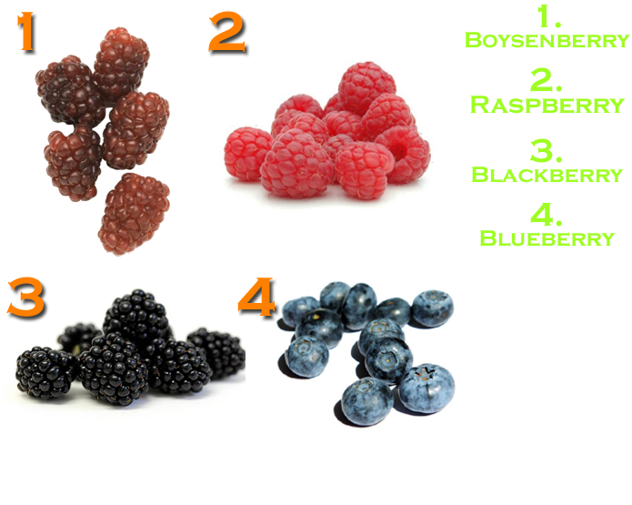 <strong>BERRIES</strong>
