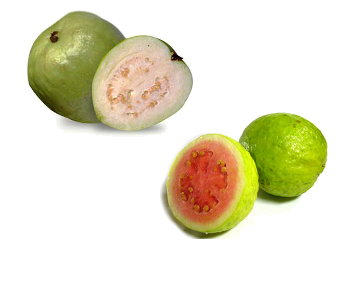 <strong>GUAVA</strong>