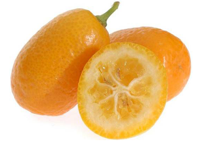 <strong>KUMQUAT</strong>
