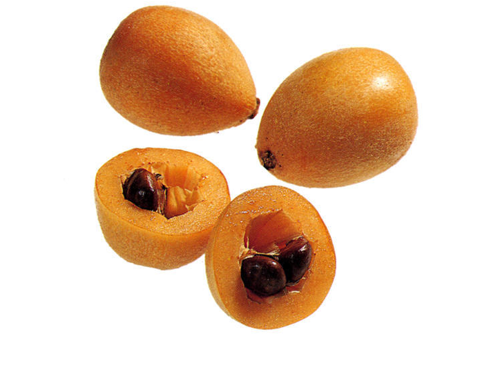 <strong>LOQUAT</strong>