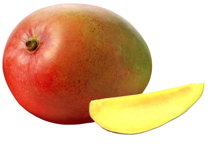 <strong>MANGO</strong>