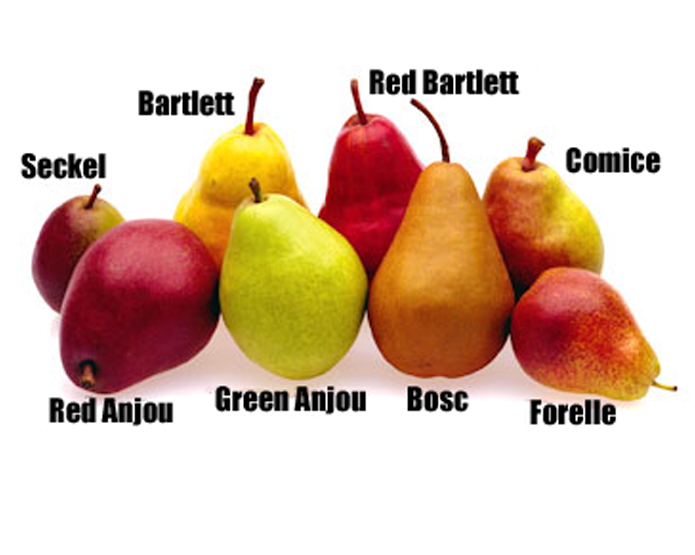 <strong>PEAR</strong>